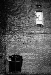 Opposites / ***