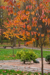 Autumn / ***
