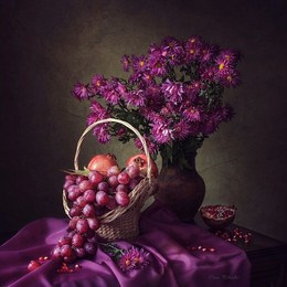 Study in purple tones / ***