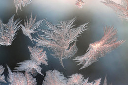 Crystal feathers / ***