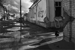 Das Warten / ***