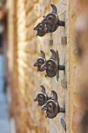 Calls Venice / ***