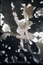 Allegro / 1.

[img]http://s014.radikal.ru/i328/1510/e3/8ddc5e6e9f7f.jpg[/img]

2.

[img]http://s019.radikal.ru/i629/1510/26/3234a17533d9.jpg[/img]

3.

[img]http://s018.radikal.ru/i525/1510/c1/1b7638fca570.jpg[/img]

4.

[img]http://s018.radikal.ru/i514/1510/56/5645fcf2d45e.jpg[/img]

5.

[img]http://s019.radikal.ru/i625/1510/bb/9adfc0b5d84c.jpg[/img]