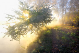 The energy of the autumn dawn .... / ***