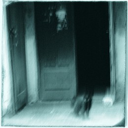 Über Cat / ***