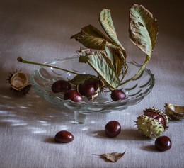 with chestnuts / ***