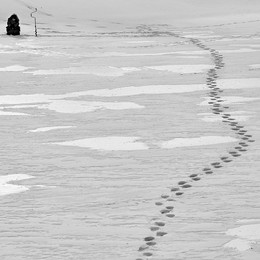 Footprints / ***