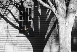 Where is the street where this house / ***