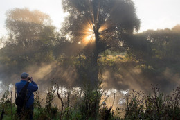 Fog / ***