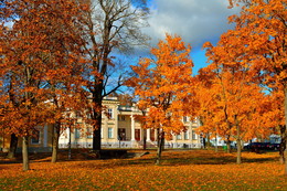 Autumn in Shchuchyn / ***