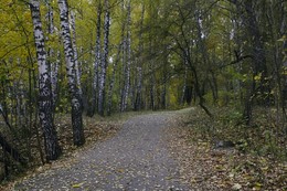 Track autumn / ***