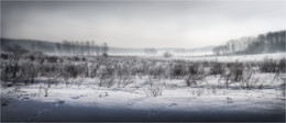 Hares in the fog / ***