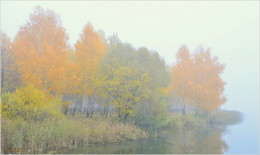 in the autumn mist / ***
