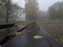 Sadness / ***