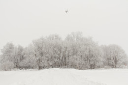 einsame Seele / ***