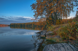 A quiet evening / ***