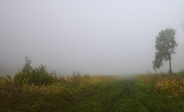 road in the fog / ***