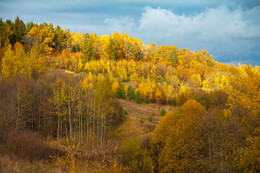 50 shades of autumn / ***