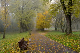 Park, Allee, Nebel / ***
