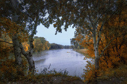 Rainy dawn on the Donets ... / ***