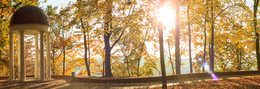Autumn in the park / ***