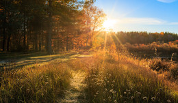 Im Herbst Tanz / ***