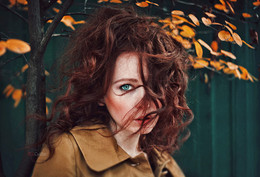Autumn / ***