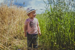 In the fields / ***