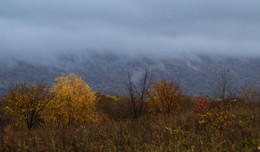 Autumn fog .. / ...