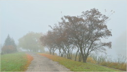 Walk in the fog / ***