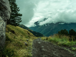 The road in the fog / ***
