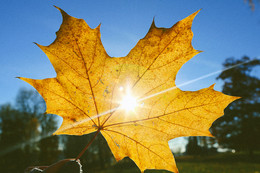 Sonnigen Herbsttag / ***