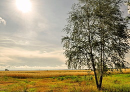 the familiar landscape / ***
