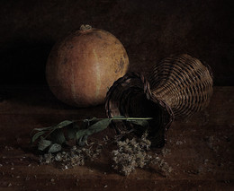 about autumn ... / ***