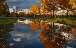 Autumn time / ***