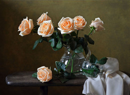 Apricot blush / ***