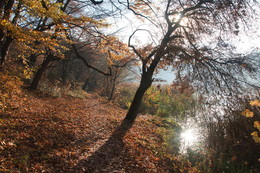 Autumn Motives / ***