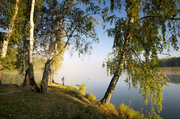Dawn, Fog / ***