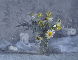 Do not leave me, spring, do not leave me, hope ... / ***