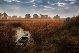 The days of late autumn ... / ***