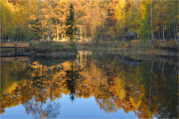 Autumn Pond / ***