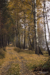 Herbstfarbe / ---