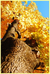 Autumn Marathon / ***