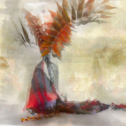 * Firebird * / ***