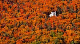 Autumn Marathon / ***