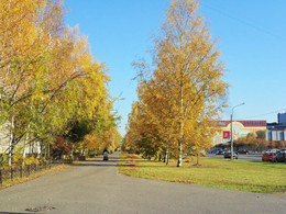 Herbst / ***