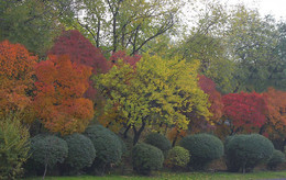 Autumn Marathon / ***