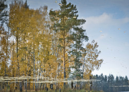 Autumn Marathon / ***