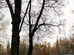Herbst / ***