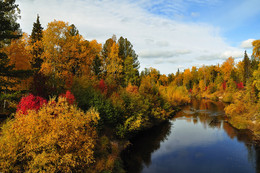 Autumn Marathon / ***